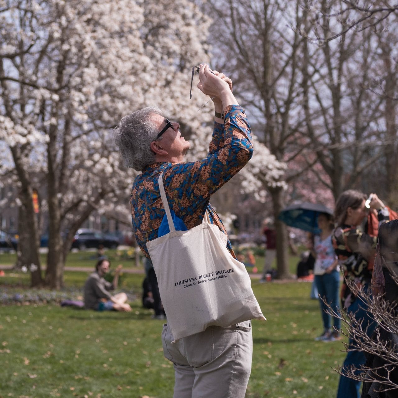 A person under a blossoming magnolia shades their eyes and looks up, April 2024