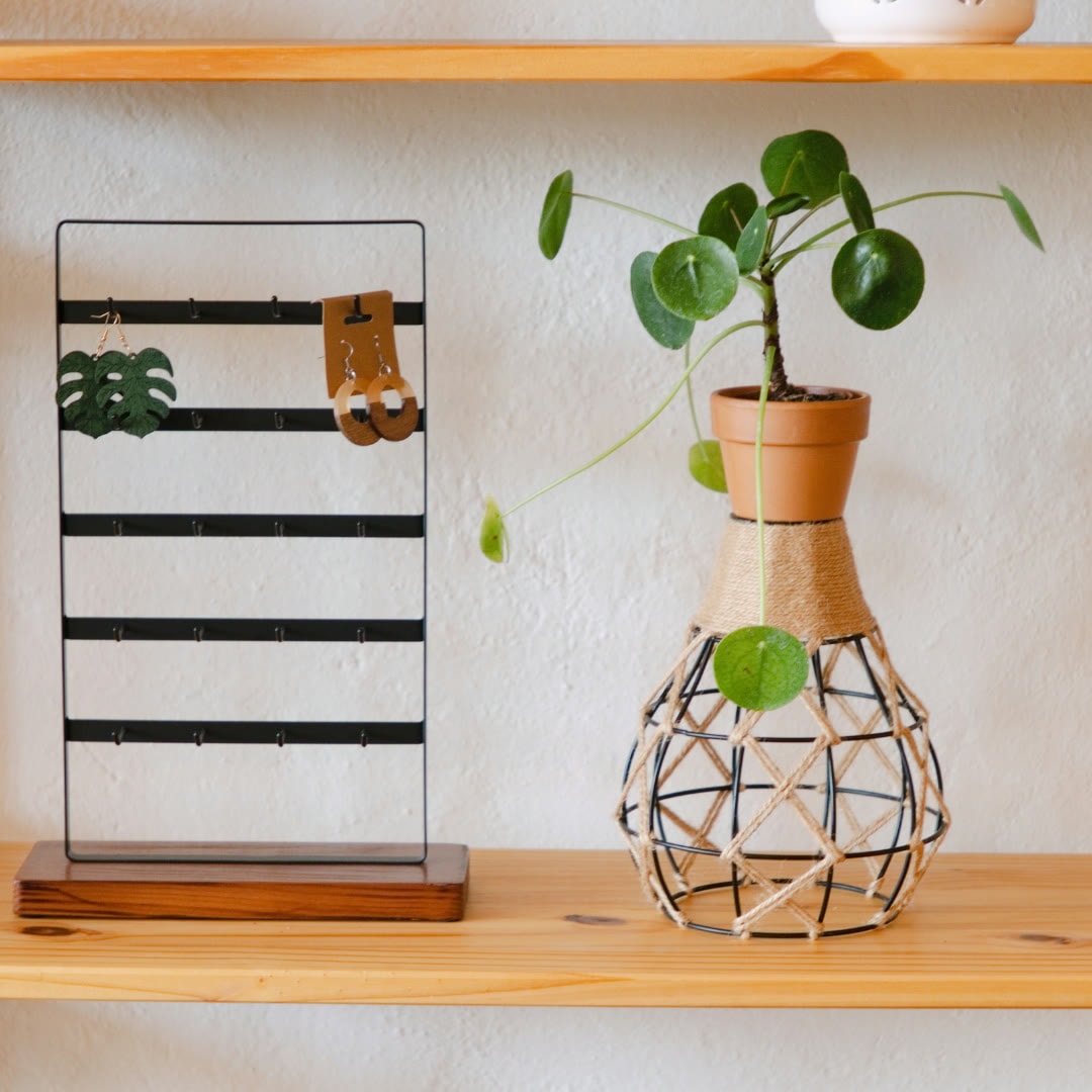 A houseplant growing from a glass vessel beside a small wall shelf